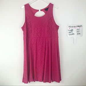 Lane Bryant Skater Dress Plus Size 22 Lace Pink